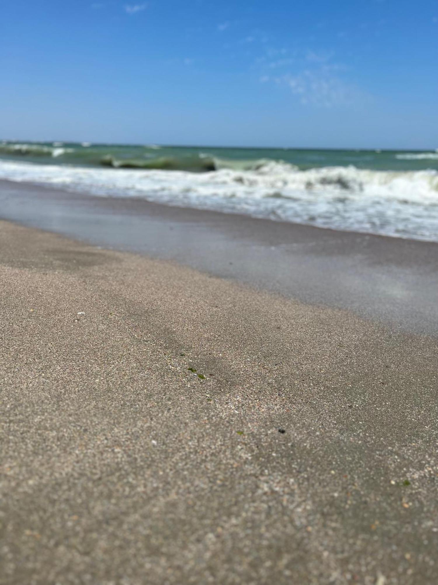 Fratellyvibe Mamaia Lägenhet Exteriör bild