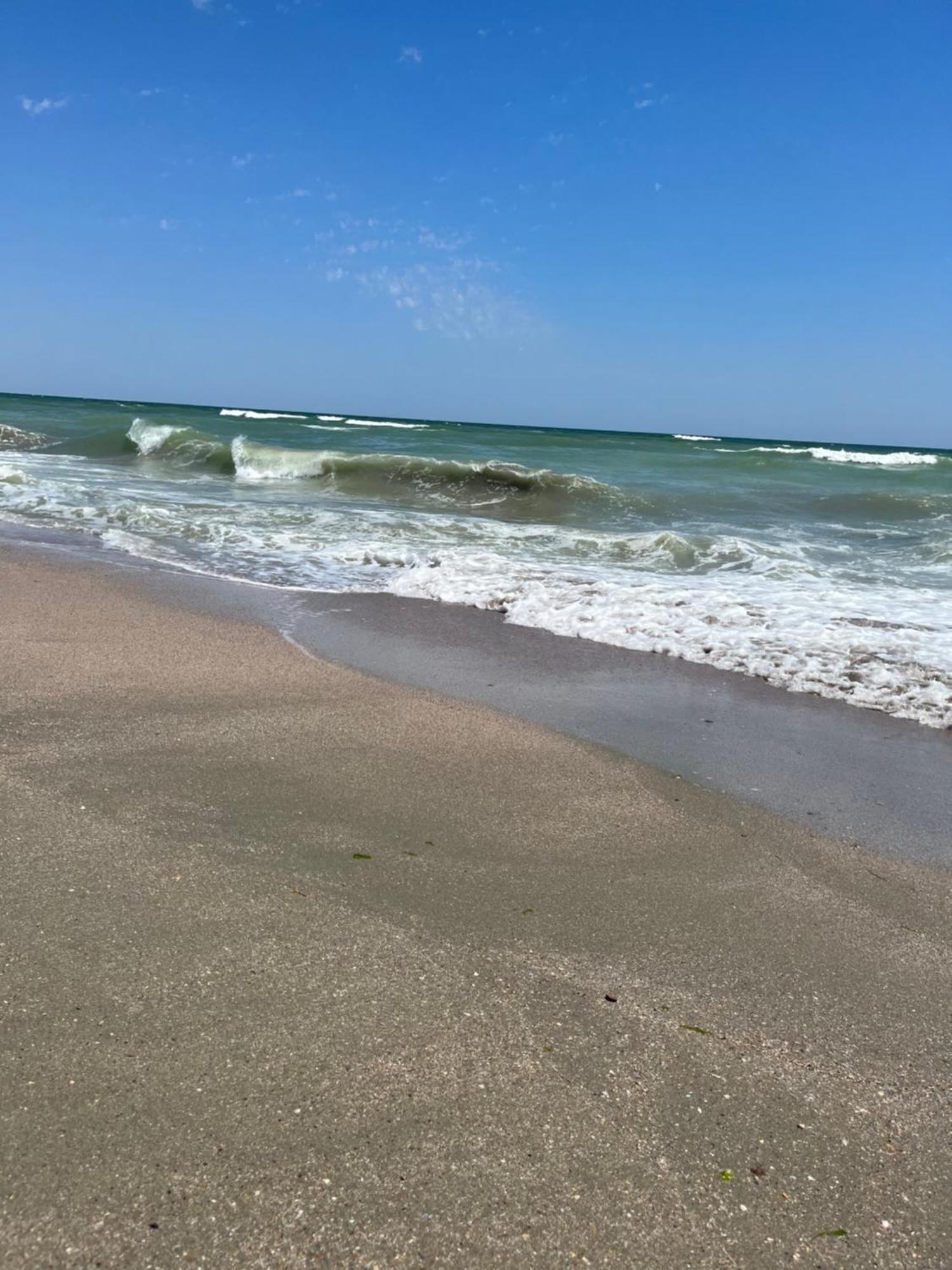 Fratellyvibe Mamaia Lägenhet Exteriör bild